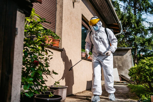 Best Emergency Pest Control  in USA